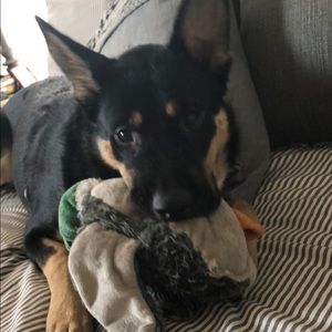 Meet your Posher, Halli